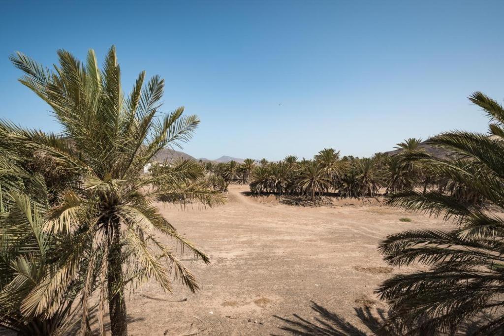 Los Majos Fuerteventura ตาราฮาเลโฮ ภายนอก รูปภาพ